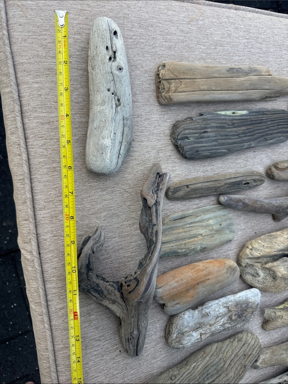 20 Pacific Beach Natural Driftwood Collection - Assorted Beach Wood Pieces - Picture 4 of 10